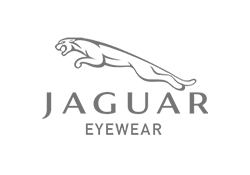 Jaguar eyeglases